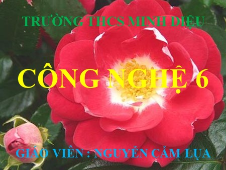Bài giảng Công nghệ Lớp 6 - Bài 11: Trang trí nhà ở bằng một số đồ vật - Nguyễn Cẩm Lụa