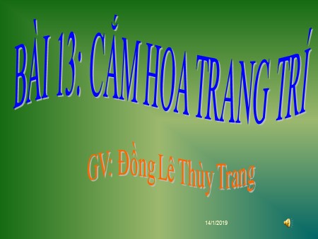 Bài giảng Công nghệ Lớp 6 - Bài 13: Cắm hoa trang trí - Năm học 2018-2019 - Đồng Lê Thùy Trang