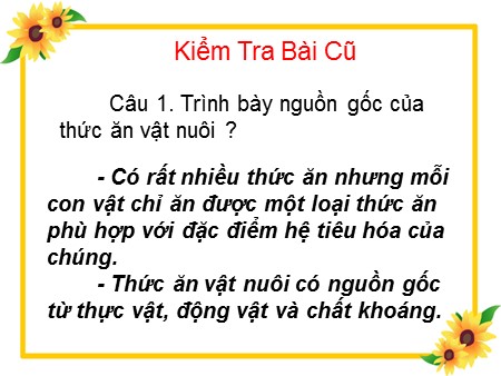 Bài giảng Công nghệ Lớp 7 - Bài 38: Vai trò của thức ăn đối với vật nuôi