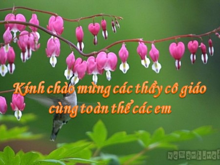 Bài giảng Hình học Lớp 6 - Ôn tập chương II