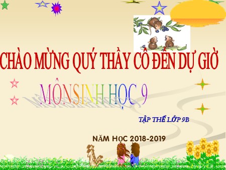 Bài giảng môn Sinh học Lớp 9 - Bài 24: Đột biến số lượng nhiễm sắc thể (Tiếp theo) - Năm học 2018-2019