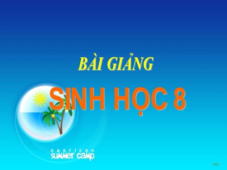 Bài giảng Sinh học Lớp 8 - Tiết 15, Bài 15: Đông máu và nguyên tắc truyền máu
