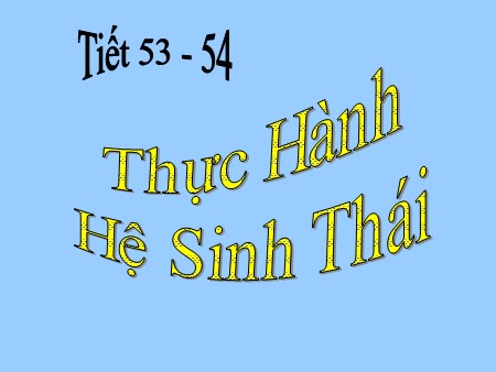Bài giảng Sinh học Lớp 9 - Tiết 53+54: Thực hành Hệ sinh thái rừng ngập mặn