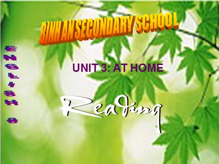 Bài giảng Tiếng Anh Lớp 8 - Period 15, Unit 3: At home. Read
