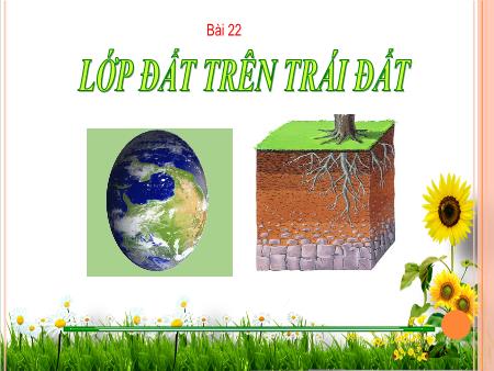 Bài giảng Địa Lí 6 (Kết nối tri thức) - Bài 22: Lớp đất trên Trái Đất