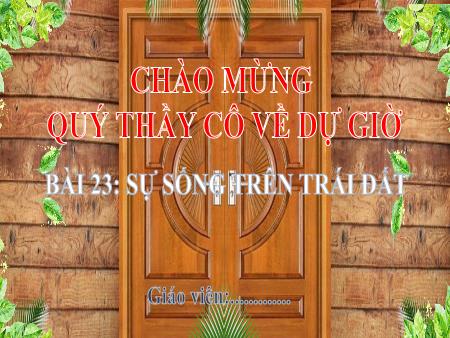 Bài giảng Địa Lí 6 (Kết nối tri thức) - Bài 23: Sự sống trên Trái Đất