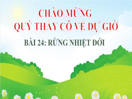 Bài giảng Địa Lí 6 (Kết nối tri thức) - Bài 24: Rừng nhiệt đới