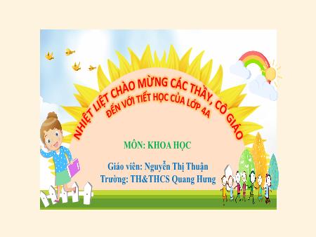 Bài giảng Khoa Học 4 - Bài 30: Vai trò của thực vật trong chuỗi thức ăn (Nguyễn Thị Thuận)