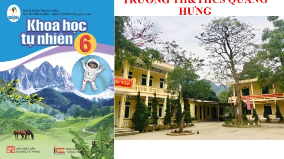 Bài giảng KHTN 6 (Cánh Diều) - Chủ đề 7, Bài 12: Tế bào - đơn vị cơ sở của sự sống