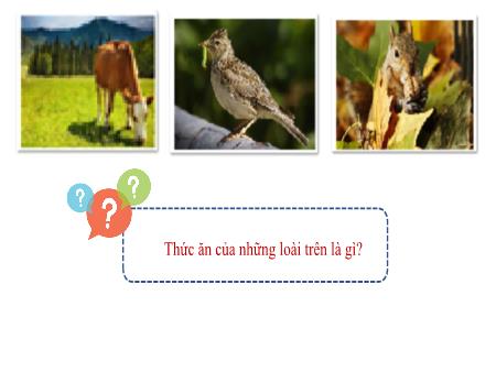 Bài giảng KHTN 7 - Bài 26: Trao đổi nước và chất dinh dưỡng ở động vật