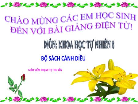 Bài giảng KHTN 8 (Cánh Diều) - Chủ đề 8, Bài 39: Quần thể sinh vật (Phạm Thị Thu Yến)