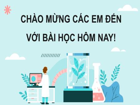 Bài giảng KHTN 8 (Hóa học) - Bài 6: Nồng độ dung dịch