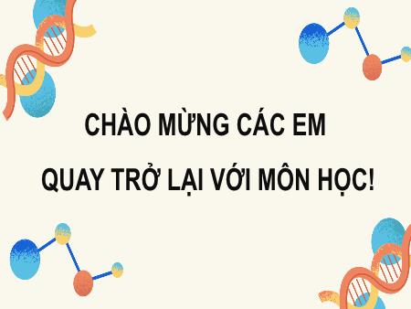 Bài giảng KHTN 8 (Hóa học) - Chủ đề 2, Bài 8: Acid
