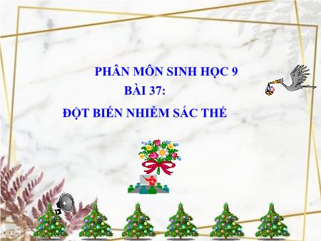 Bài giảng KHTN 9 (Sinh học) - Bài 37: Đột biến nhiễm sắc thể (Tiết 2)