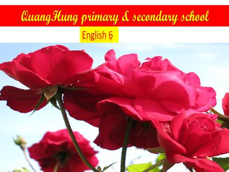 Bài giảng Tiếng Anh 6 - Unit 2: My House - Lesson 3: A Closer Look 2