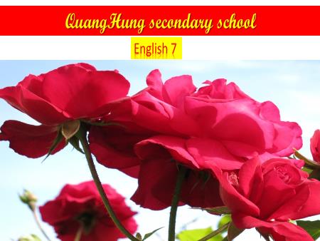 Bài giảng Tiếng Anh 7 - Unit 1: My Hobbies - Lesson 1: Getting Started Bài giảng Tiếng Anh 7 - Unit 1: My Hobbies - Lesson 1: Getting Started