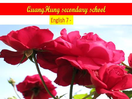 Bài giảng Tiếng Anh 7 - Unit 1: My Hobbies - Lesson 2: A Closer Look 1