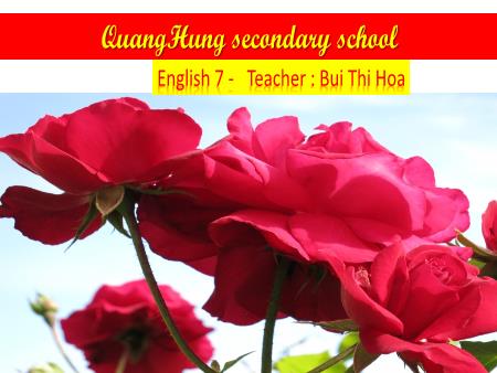 Bài giảng Tiếng Anh 7 - Unit 1: My Hobbies - Lesson 3: A Closer Look 2 Bài giảng Tiếng Anh 7 - Unit 1: My Hobbies - Lesson 3: A Closer Look 2