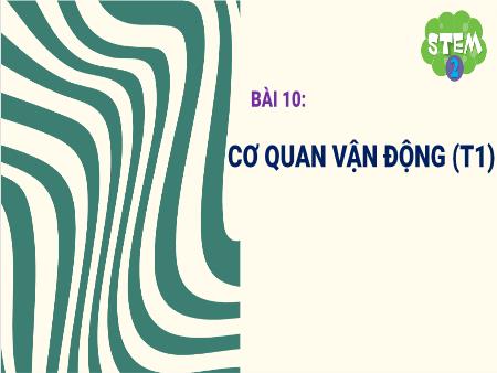Bài giảng TNXH 2 (STEM) - Bài 10: Cơ quan vận động (Tiết 1)