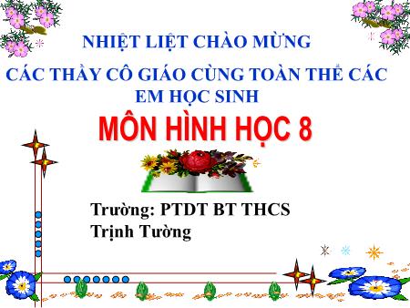 Bài giảng Toán 8 (Hình học) - Luyện tập: Diện tích hình tam giác