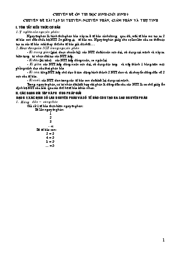 Chuyên đề Ôn thi HSG môn Sinh học 9 - Chuyên đề: Bài tập di truyền: Nguyên phân, giảm phân và thụ tinh